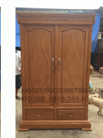 Mẫu tủ áo 2 cánh gỗ gõ đỏ TA06